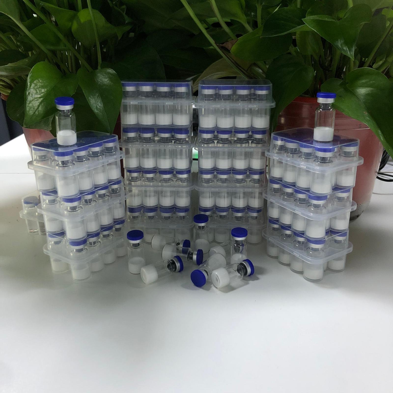 Research peptide vials arranged in laboratory trays